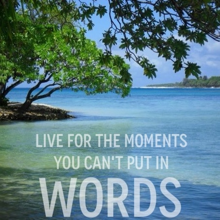 Live for the moments you can't put in words // travel // quote
